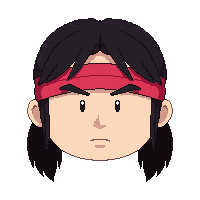 headband sweatband  professional