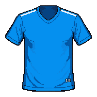 blue team  pristine new