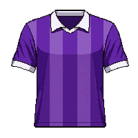 purple team  championship winning