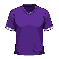 purple team  pristine new