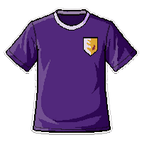 purple team  worn and faded
