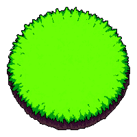 center circle marker  green grass border