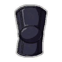 knee support  professional grade