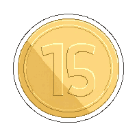 coin flip  polished shiny
