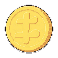 coin flip  professional grade