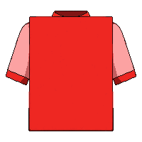 red card  official regulation