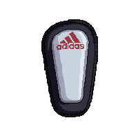 adidas predator  training base model