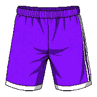 purple athletic  with side stripe