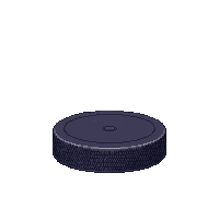 hockey puck