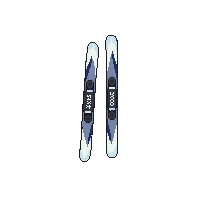 ski pair