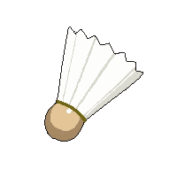 badminton shuttlecock feathered cork white flight