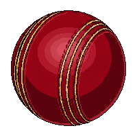 cricket ball red leather stitched seam hard