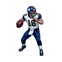 football quarterback throwing helmet pads