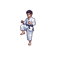 karate martial artist gi belt kick stance