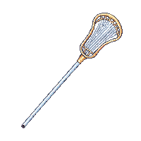 lacrosse stick netted head long shaft