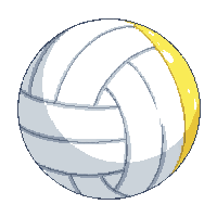 volleyball white blue yellow panel round light