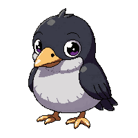 stickersearch 12254 jackdaw
