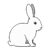 stickersearch 22908 rabbit