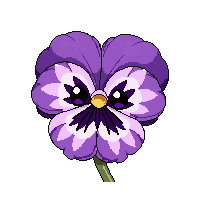 stickersearch 13732 pansy