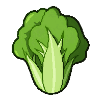 stickersearch 24924 lettuce