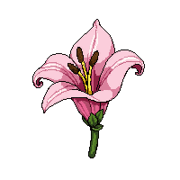 stickersearch 10584 lily2