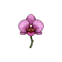 stickersearch 13769 orchid