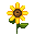 stickersearch 16423 sunflower