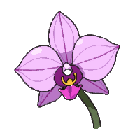 stickersearch 24377 orchid