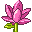 stickersearch 8800 lotus