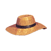 surviv hat straw sun protection 141 v10 2026 03 30T00 37 17