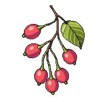 surviv berries wild forest fruit 004 2026 03 30T00 37 17