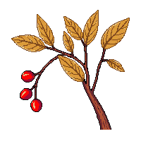 surviv berries wild forest fruit 019 v2 2026 03 30T00 37 17