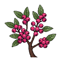 surviv berries wild forest fruit 049 v4 2026 03 30T00 37 17