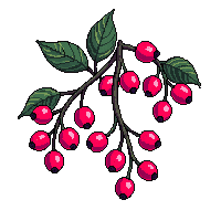 surviv berries wild forest fruit 064 v5 2026 03 30T00 37 17