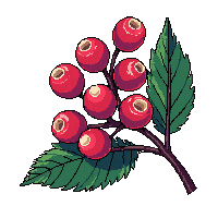 surviv berries wild forest fruit 079 v6 2026 03 30T00 37 17