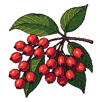 surviv berries wild forest fruit 109 v8 2026 03 30T00 37 17