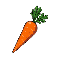 surviv carrot vegetable root vegetable 052 v4 2026 03 30T00 37 17