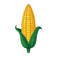 surviv corn cob farm vegetable 008 2026 03 30T00 37 17