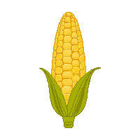 surviv corn cob farm vegetable 023 v2 2026 03 30T00 37 17