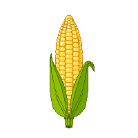 surviv corn cob farm vegetable 038 v3 2026 03 30T00 37 17