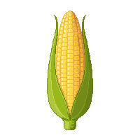 surviv corn cob farm vegetable 053 v4 2026 03 30T00 37 17