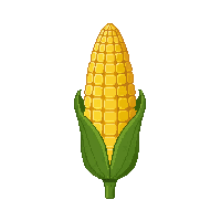 surviv corn cob farm vegetable 068 v5 2026 03 30T00 37 17