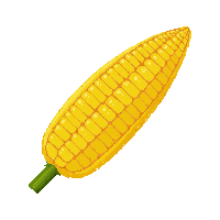 surviv corn cob farm vegetable 083 v6 2026 03 30T00 37 17