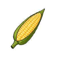 surviv corn cob farm vegetable 113 v8 2026 03 30T00 37 17