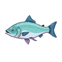 surviv fish raw caught fish 003 2026 03 30T00 37 17