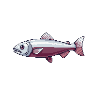 surviv fish raw caught fish 063 v5 2026 03 30T00 37 17