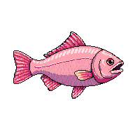 surviv fish raw caught fish 078 v6 2026 03 30T00 37 17