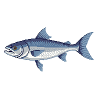 surviv fish raw caught fish 093 v7 2026 03 30T00 37 17