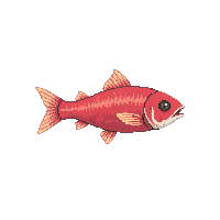 surviv fish raw caught fish 123 v9 2026 03 30T00 37 17