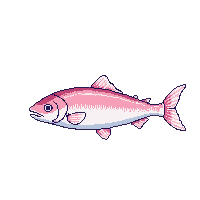 surviv fish raw caught fish 138 v10 2026 03 30T00 37 17